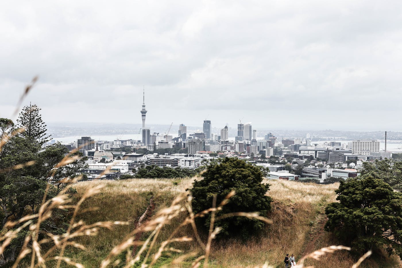Auckland skyline with the Sky Tower and harbour, New Zealand, where many international graduates seek post-study work